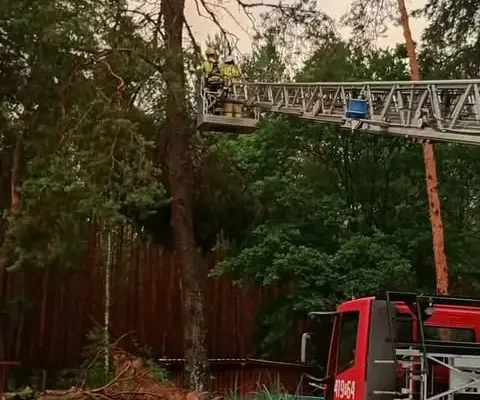 Zwisający konar w Chełście usunięty przez strażaków
