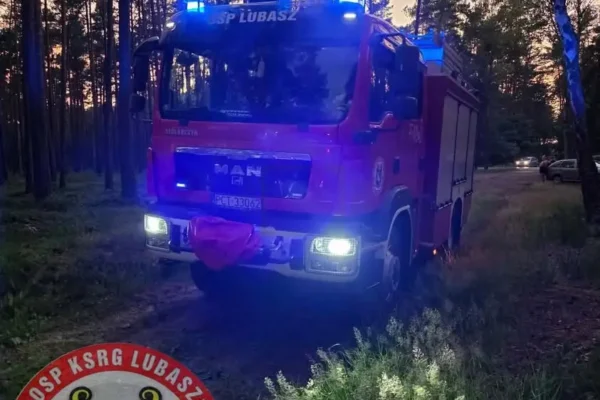 Pożar drzewa i ściółki w Sokołowie – interwencja strażaków