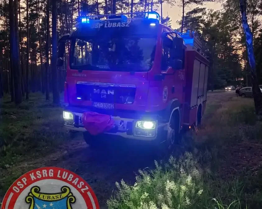 Pożar drzewa i ściółki w Sokołowie – interwencja strażaków