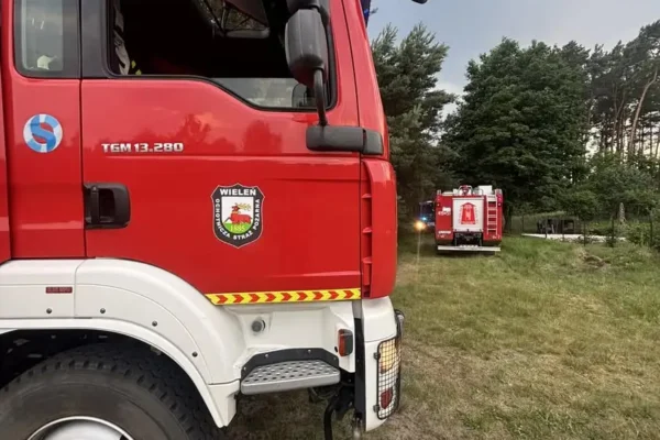Pożar lasu w Przyłękach – strażacy walczyli z ogniem