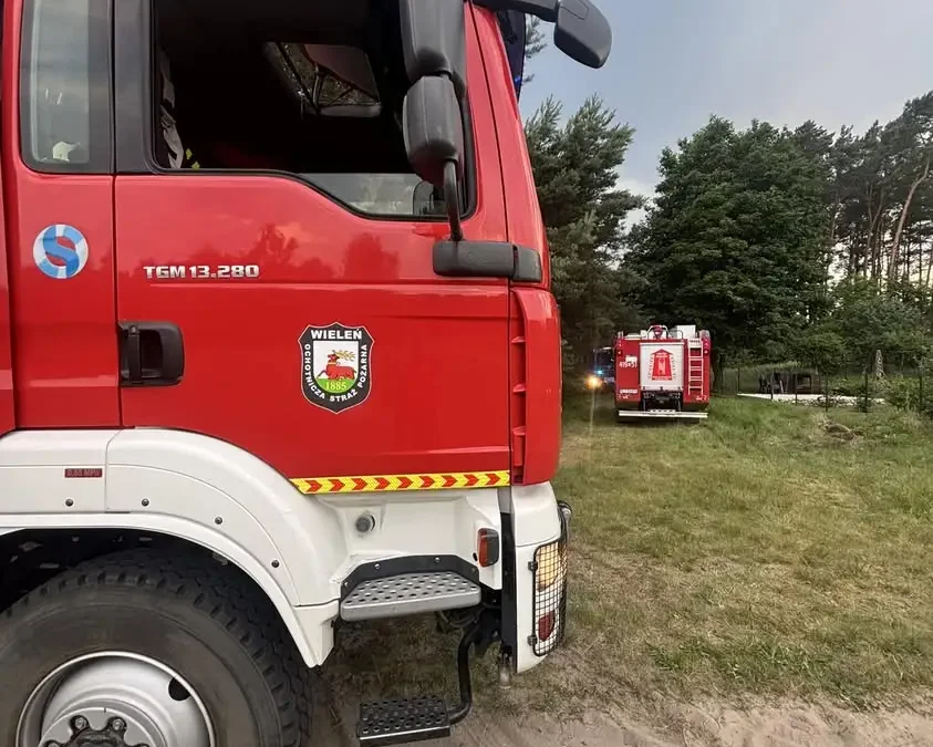 Pożar lasu w Przyłękach – strażacy walczyli z ogniem
