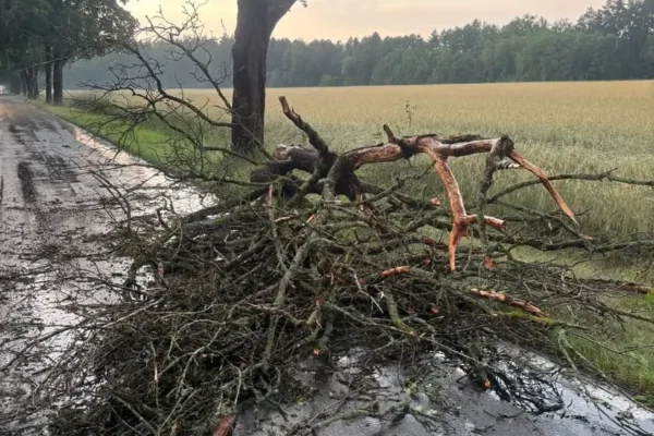 Silny wiatr w gminie Wieleń: strażacy usuwają skutki wichury w trzech miejscowościach
