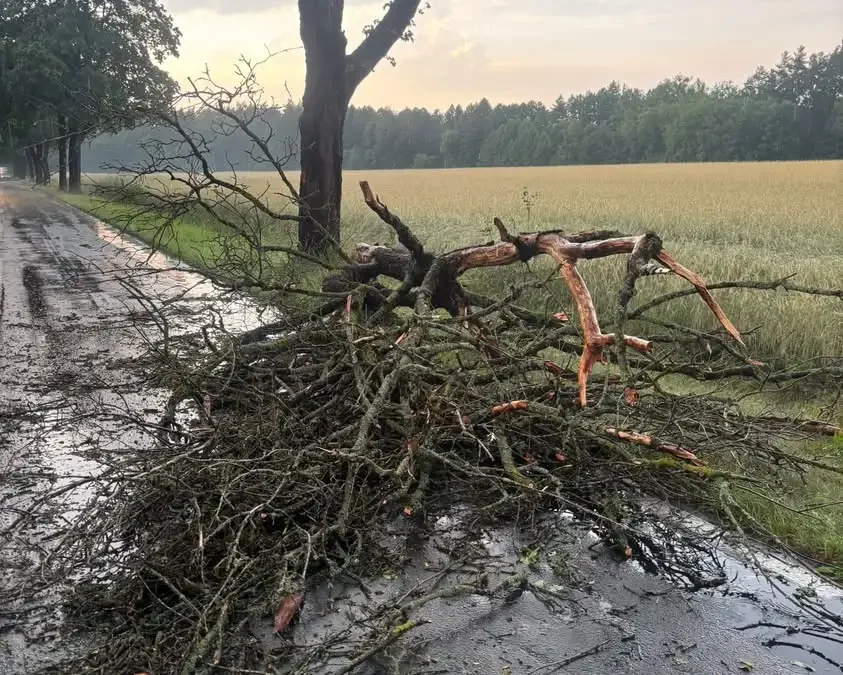 Silny wiatr w gminie Wieleń: strażacy usuwają skutki wichury w trzech miejscowościach