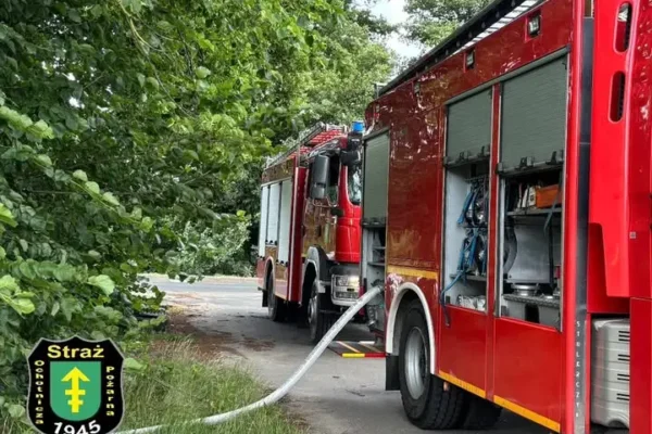 Pożar trawy w Krzyżu Wielkopolskim – interwencja OSP