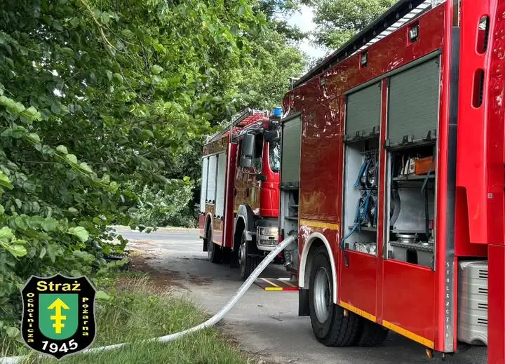 Pożar trawy w Krzyżu Wielkopolskim – interwencja OSP