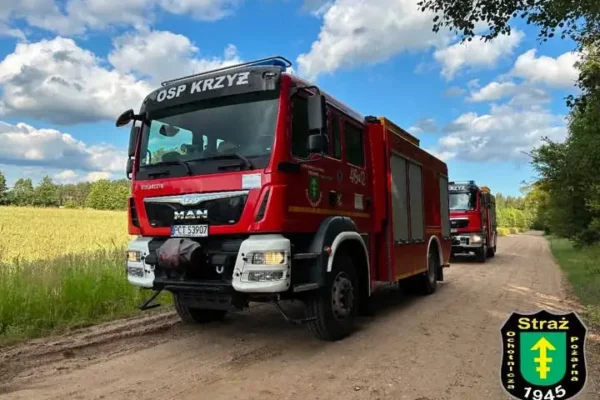 Powalone drzewo w Brzegach – interwencja OSP Krzyż Wielkopolski