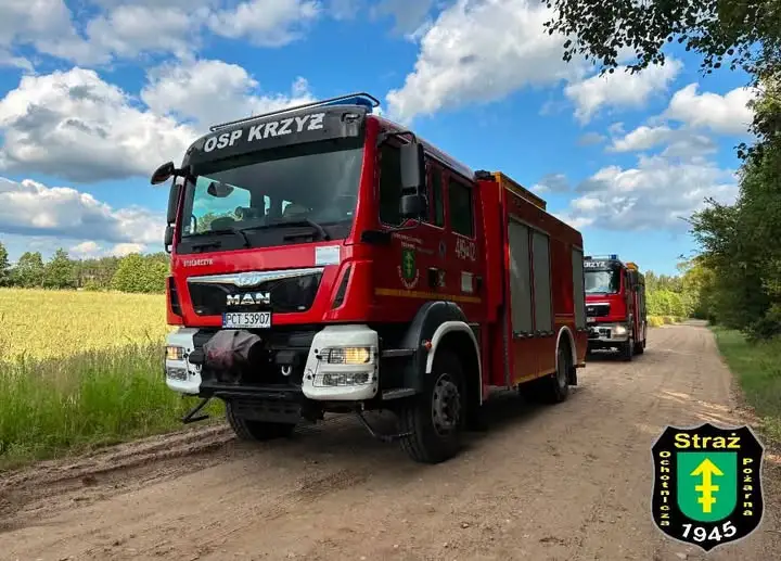 Powalone drzewo w Brzegach – interwencja OSP Krzyż Wielkopolski