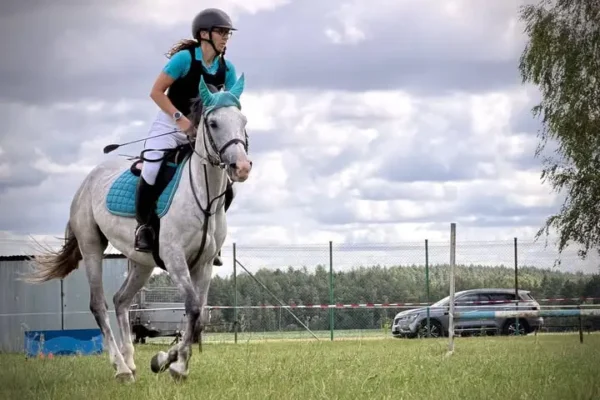 Zawody Stajenne w Gajewie – emocje, hobby horse i rodzinna atmosfera