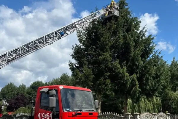 OSP Krzyż Wielkopolski usuwa pochylone drzewo w Hucie Szklanej