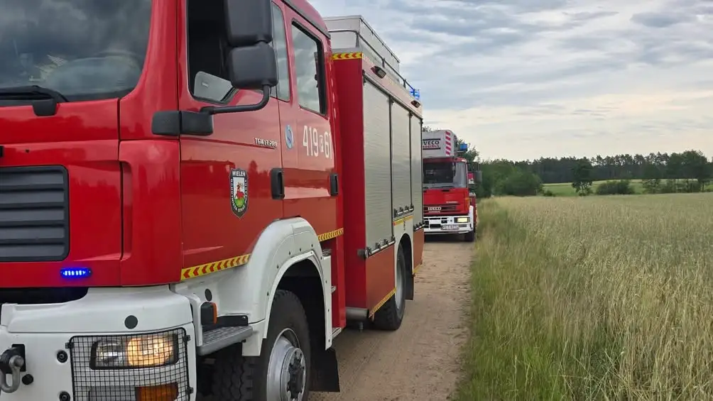 Zadziałanie czujki dymu w Wieleniu – interwencja straży pożarnej