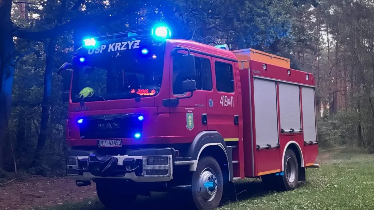 Poszukiwania nad Jeziorem Królewskim – interwencja OSP Krzyż Wielkopolski
