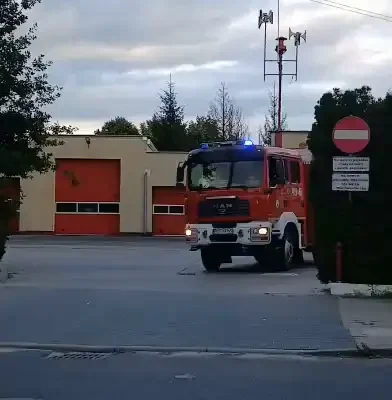 Interwencje strażaków w Wieleniu: owady i plama oleju