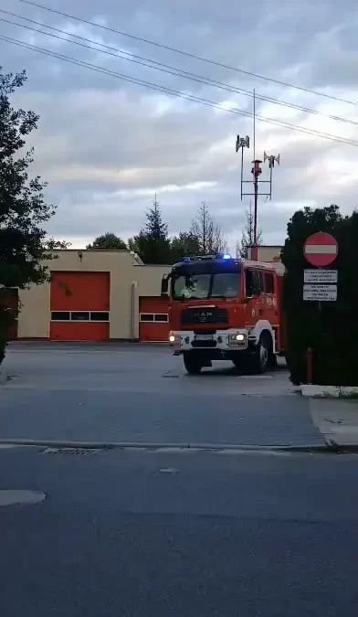 Interwencje strażaków w Wieleniu: owady i plama oleju