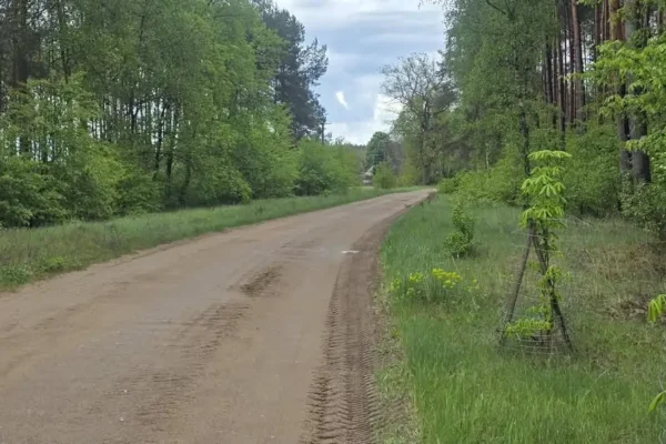 Gmina Krzyż Wielkopolski podpisała umowę na przebudowę drogi w Brzegach