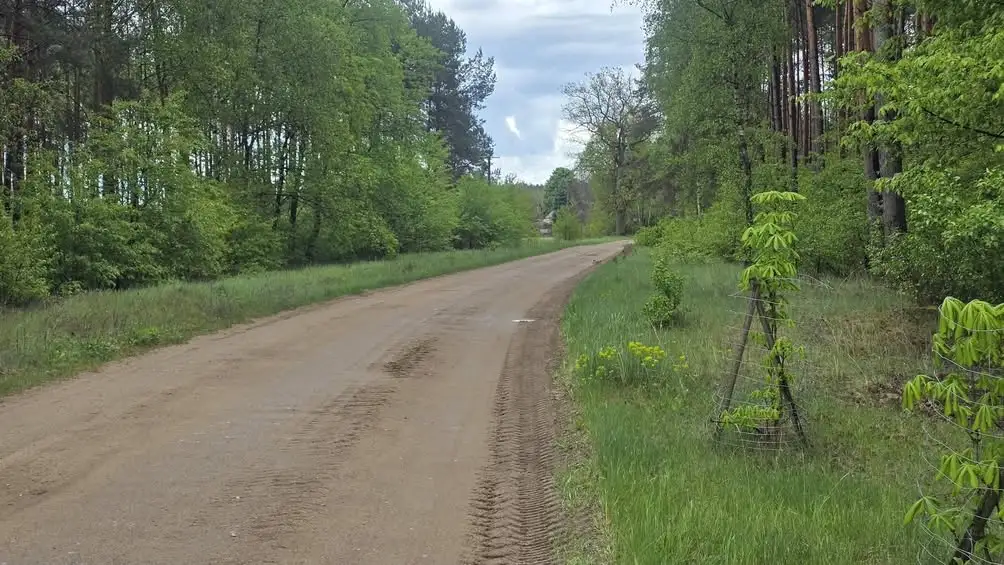 Gmina Krzyż Wielkopolski podpisała umowę na przebudowę drogi w Brzegach