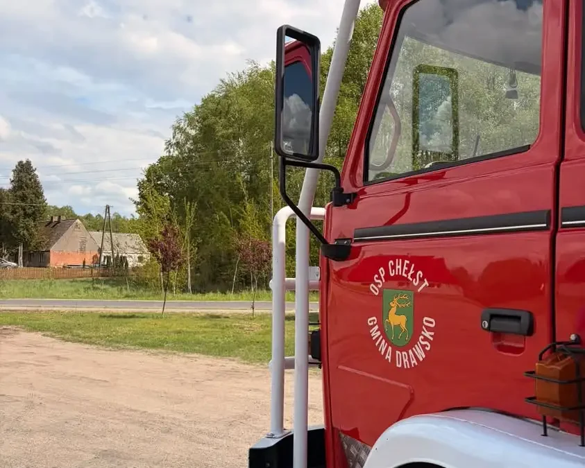 Strażacy z OSP Chełst uratowali kota uwięzionego na drzewie