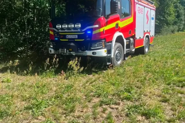 OSP Trzcianka uratowała kota z drzewa w Nowym Żabieńcu