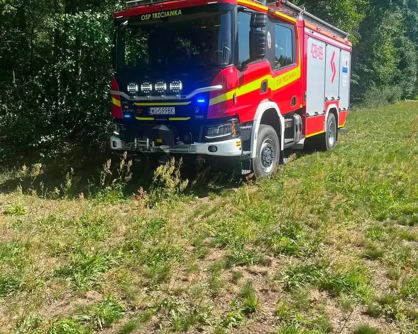 OSP Trzcianka uratowała kota z drzewa w Nowym Żabieńcu