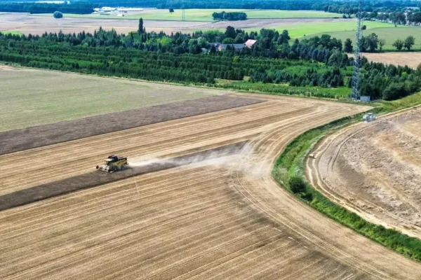 Żniwa w Gminie Czarnków – czas ciężkiej pracy i apel o bezpieczeństwo