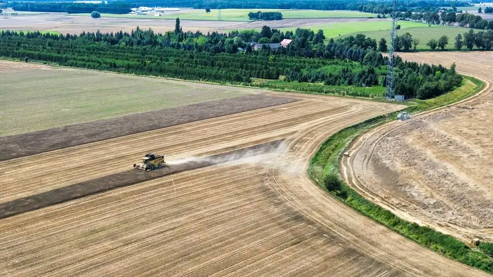 Żniwa w Gminie Czarnków – czas ciężkiej pracy i apel o bezpieczeństwo
