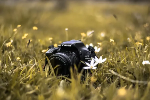 W Czarnkowie powstaje pracownia fotograficzna – miasto pozyskało środki na jej utworzenie