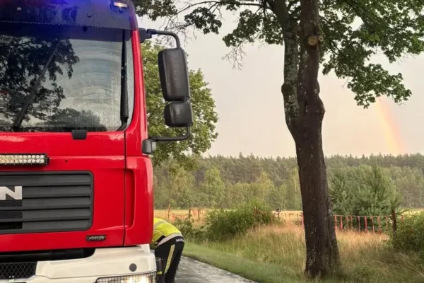 Powalone drzewo na DW 177 w Dzierżążnie Wielkim – interwencja OSP Wieleń