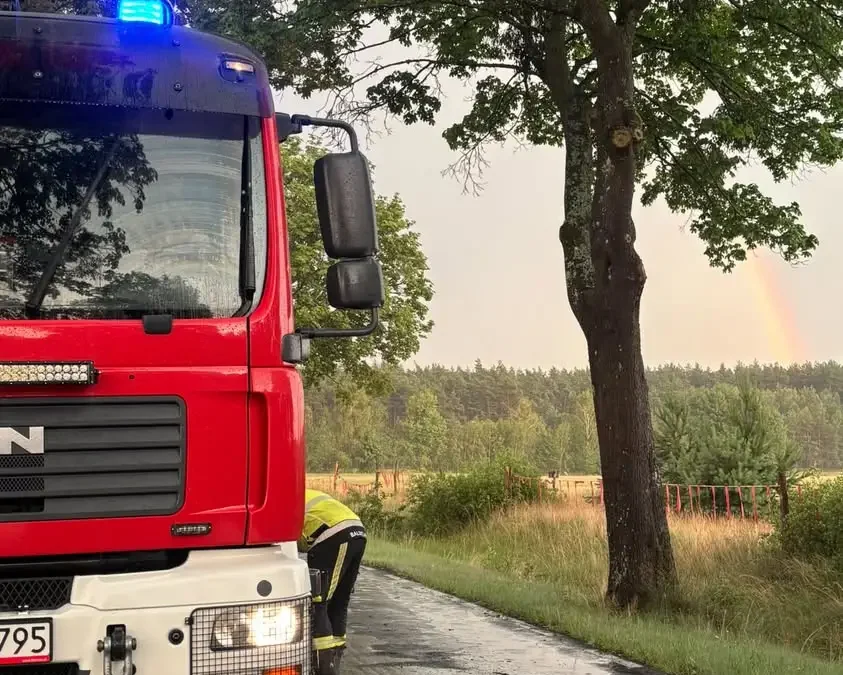 Powalone drzewo na DW 177 w Dzierżążnie Wielkim – interwencja OSP Wieleń
