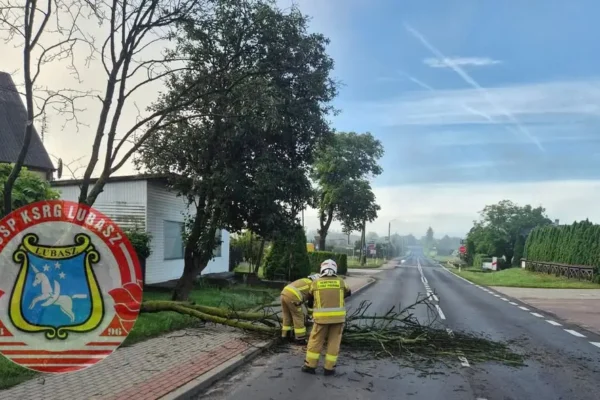 Zdarzenie w Lubaszu: Drzewo na drodze, interwencja OSP KSRG Lubasz