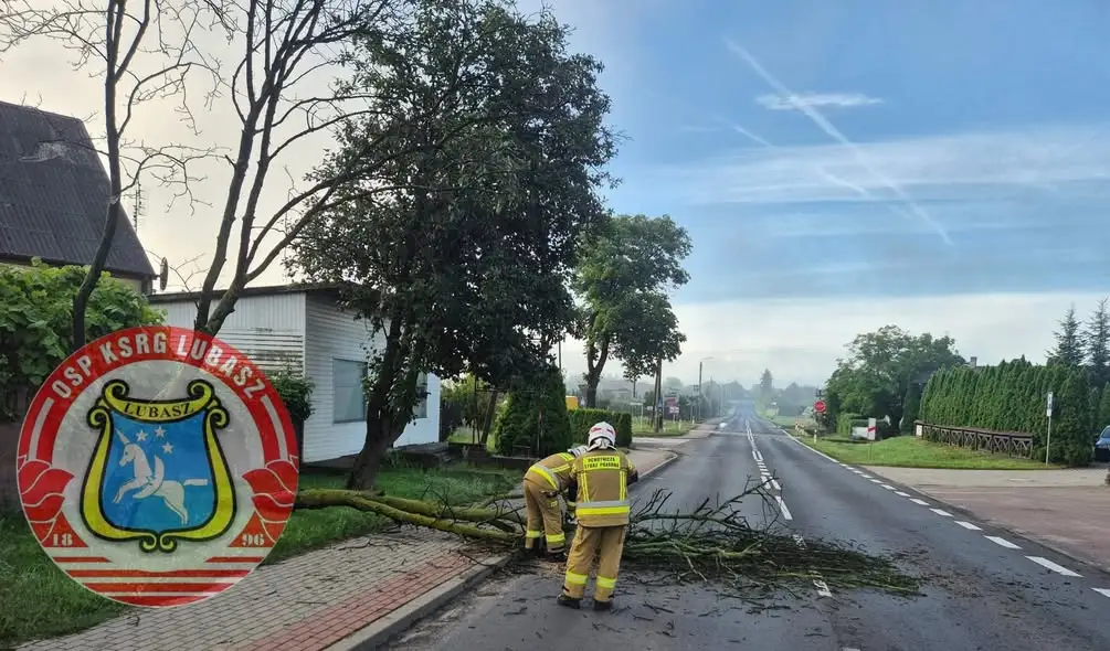 Zdarzenie w Lubaszu: Drzewo na drodze, interwencja OSP KSRG Lubasz