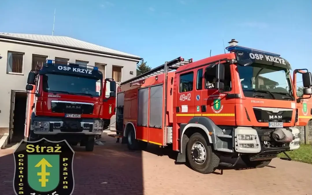 Interwencja OSP Krzyż Wielkopolski: usuwanie gniazda owadów błonkoskrzydłych