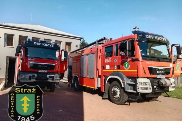 Interwencja OSP Krzyż Wielkopolski: usuwanie gniazda owadów błonkoskrzydłych