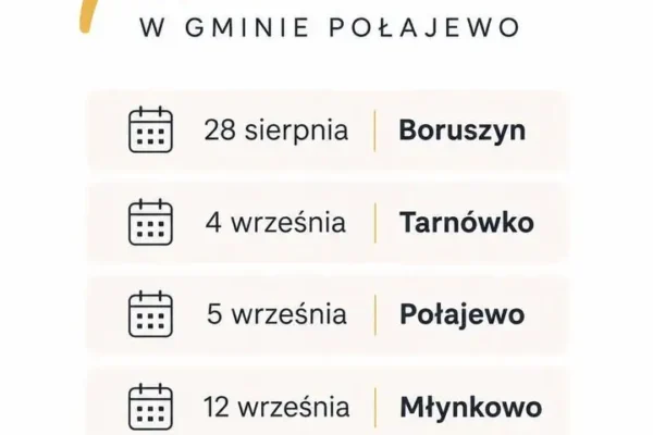 Cztery wieczory z kinem plenerowym w gminie Połajewo – rusza maraton filmowy