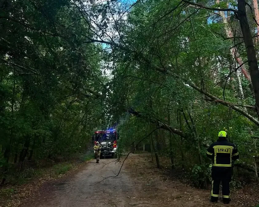 OSP Trzcianka podsumowuje sobotnie interwencje podczas wichury