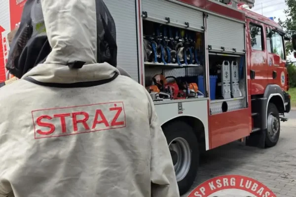 Interwencja OSP Lubasz: usuwanie gniazda owadów błonkoskrzydłych w Goraju
