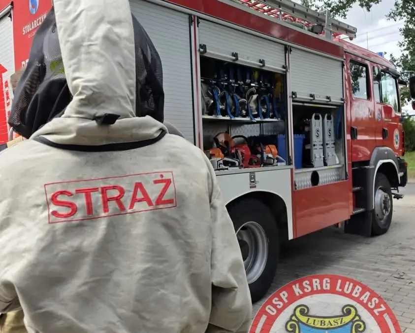 Interwencja OSP Lubasz: usuwanie gniazda owadów błonkoskrzydłych w Goraju