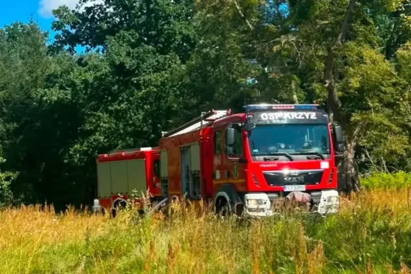 Pożar trawy w Wizanach. Strażacy z Krzyża Wielkopolskiego w akcji