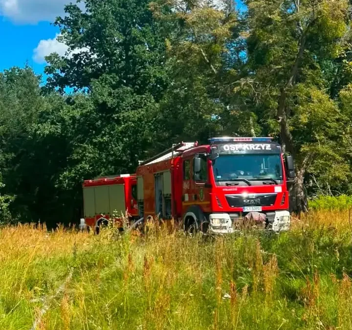 Pożar trawy w Wizanach. Strażacy z Krzyża Wielkopolskiego w akcji