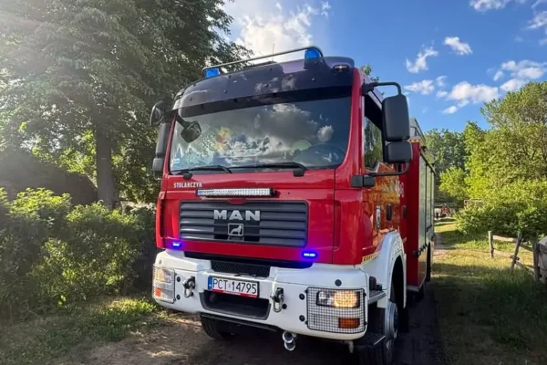 Owady błonkoskrzydłe w Wieleniu – interwencja OSP