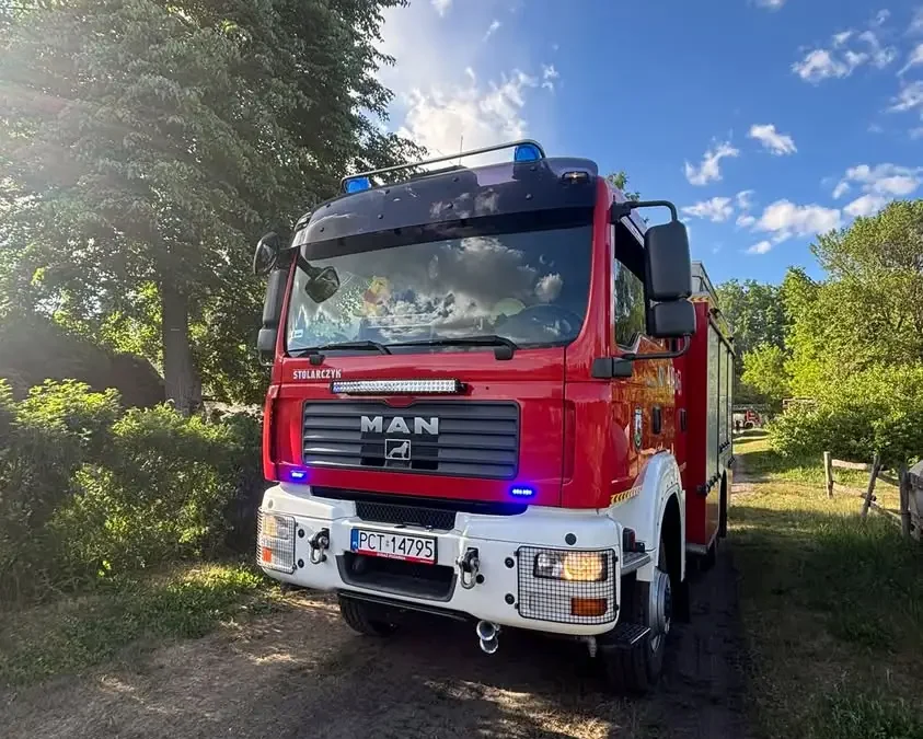 Owady błonkoskrzydłe w Wieleniu – interwencja OSP