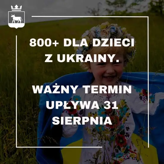 800+ dla dzieci z Ukrainy: ważny termin 31 sierpnia. ZUS przypomina o obowiązku