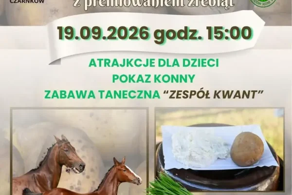 Dzień Pyry i Gzika w Brzeźnie – święto ziemniaka i koni już 19 września