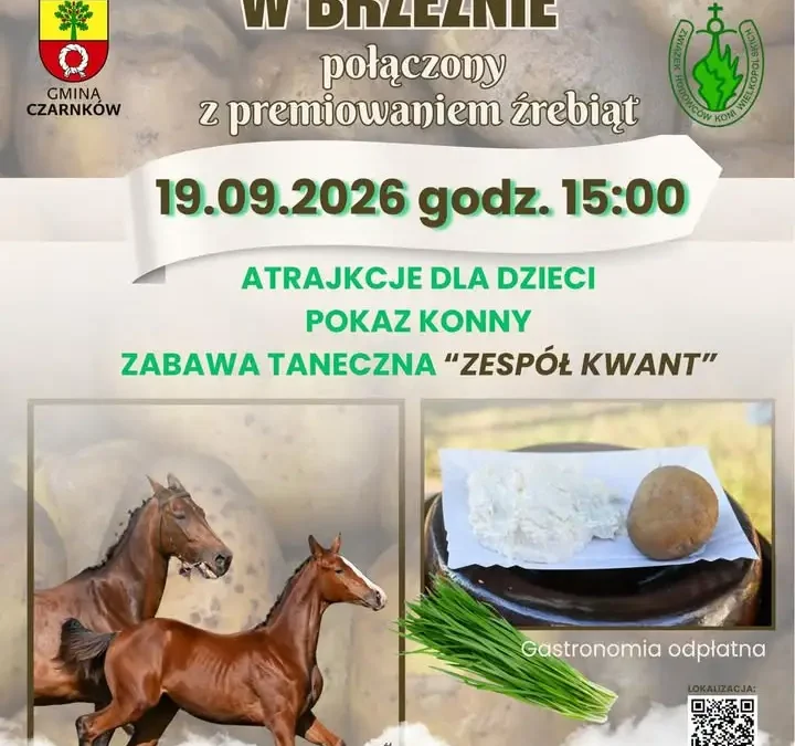 Dzień Pyry i Gzika w Brzeźnie – święto ziemniaka i koni już 19 września