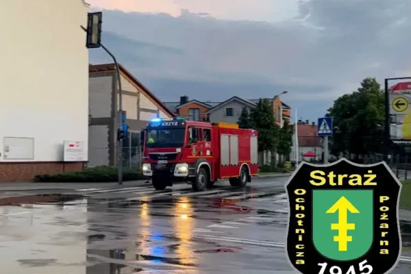 Interwencja OSP Krzyż Wielkopolski w Lubczu Wielkim – usuwanie gniazda owadów błonkoskrzydłych
