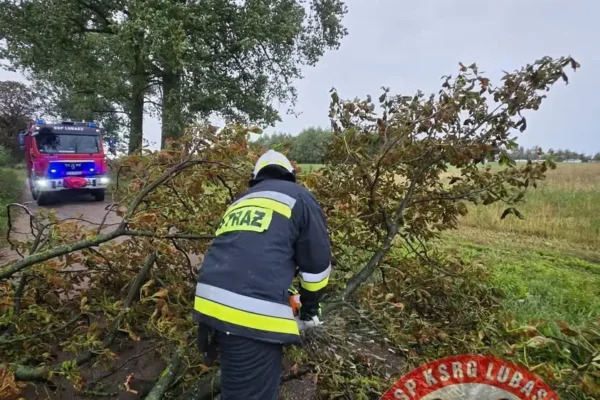 Drzewo na drodze w Stajkowie – interwencja OSP Lubasz