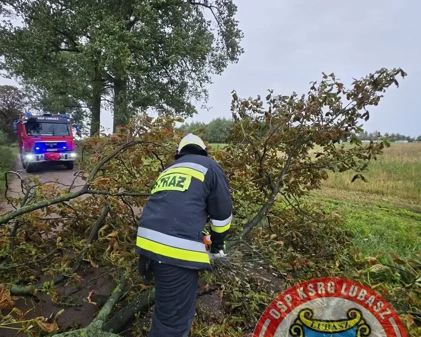 Drzewo na drodze w Stajkowie – interwencja OSP Lubasz