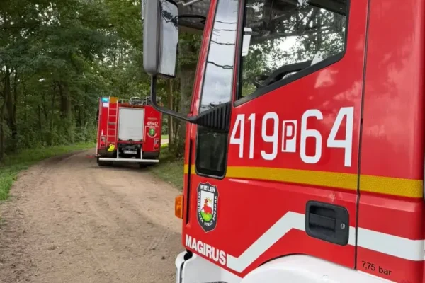 Pochylone drzewo w Hucie Szklanej — interweniowały OSP Wieleń i OSP Krzyż Wielkopolski