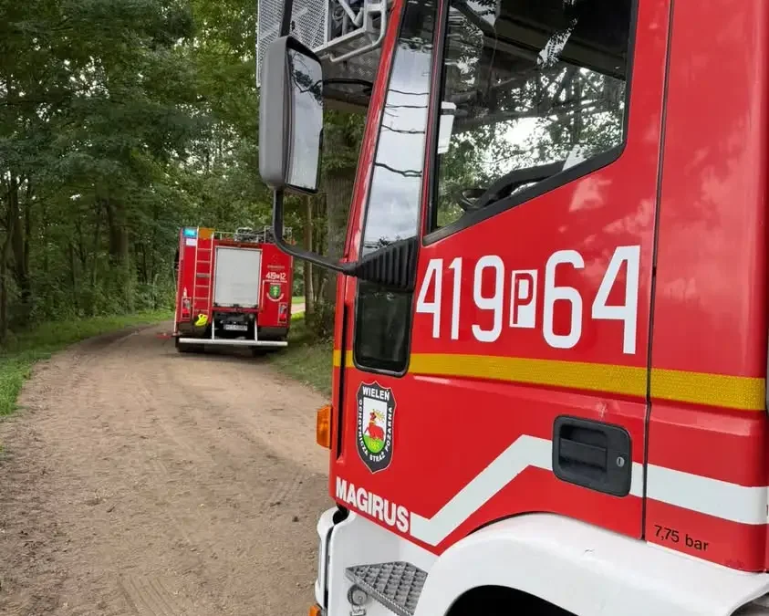 Pochylone drzewo w Hucie Szklanej — interweniowały OSP Wieleń i OSP Krzyż Wielkopolski
