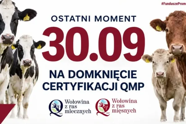 Certyfikat QMP: zostały tylko dwa dni na jego uzyskanie