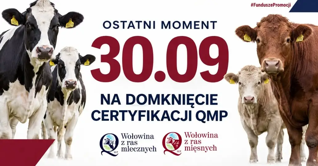 Certyfikat QMP: zostały tylko dwa dni na jego uzyskanie