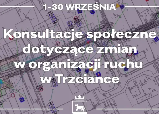 Konsultacje społeczne w Trzciance: zmiany na ulicach Broniewskiego, Orzeszkowej i Słowackiego